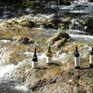 PROVA ESPECIAL INSPIRED BY ROCIM