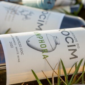 TASTING AMPHORA WINES