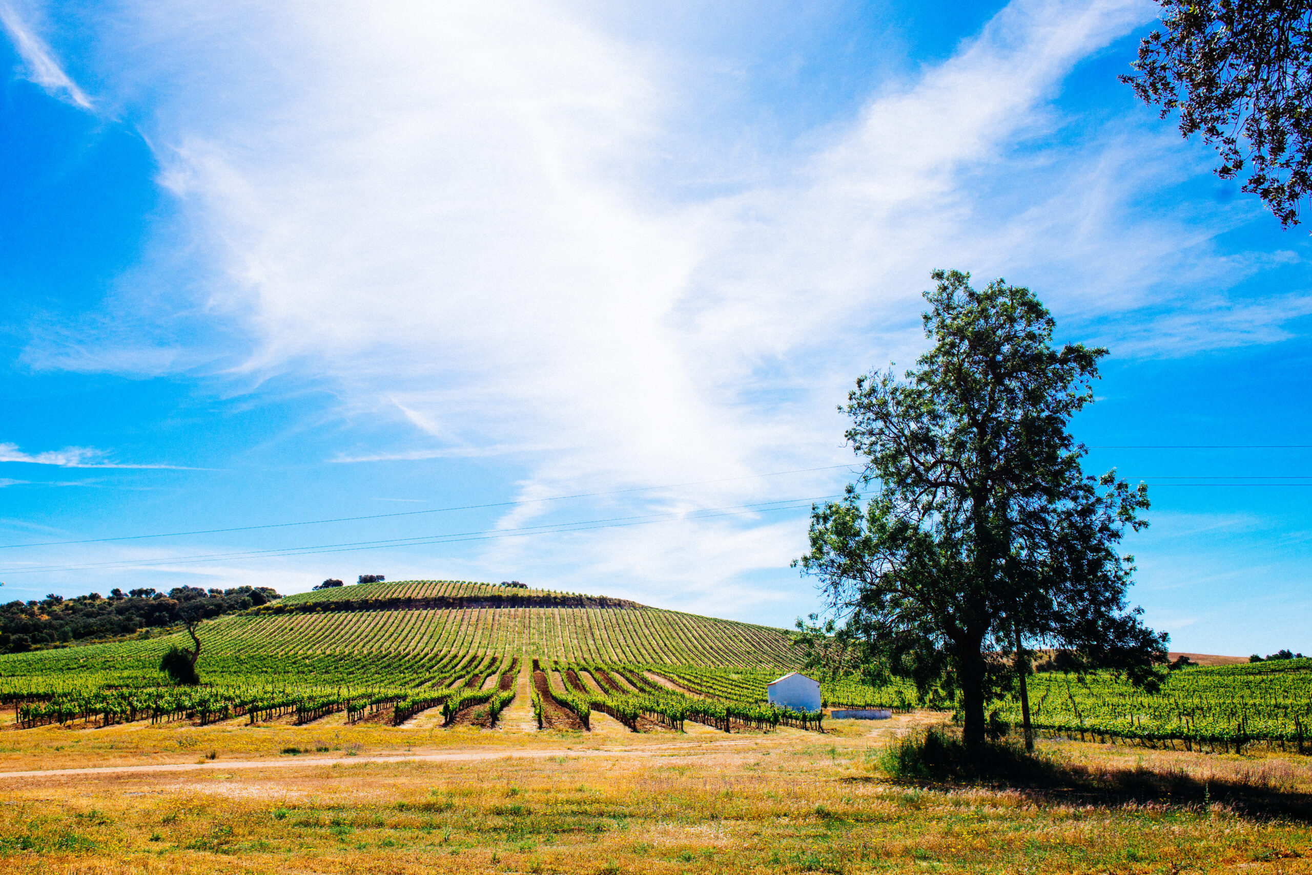Dois dedos de conversa