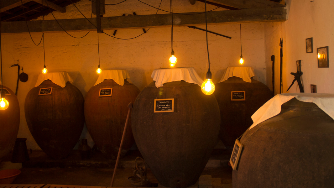 Amphoras
